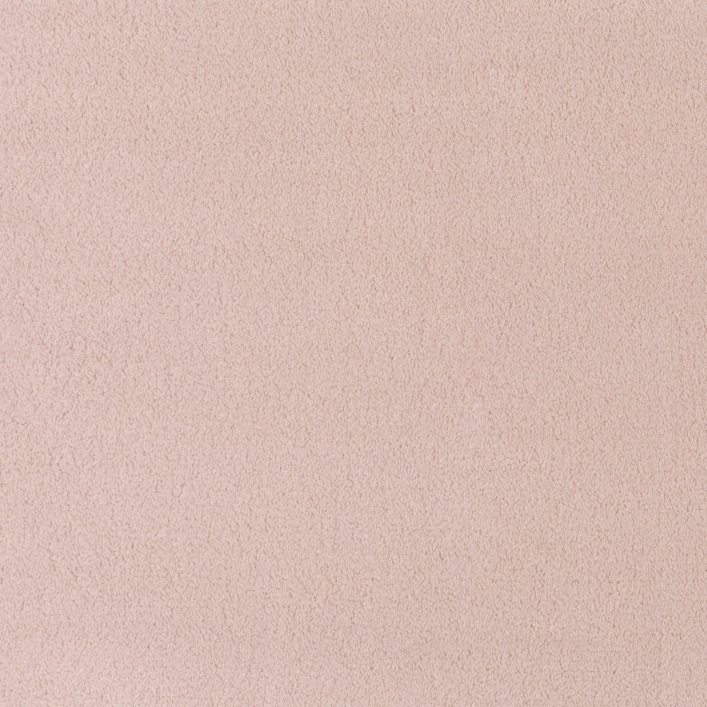 JAB Phantom Teppichboden - 3697/067 Rosa