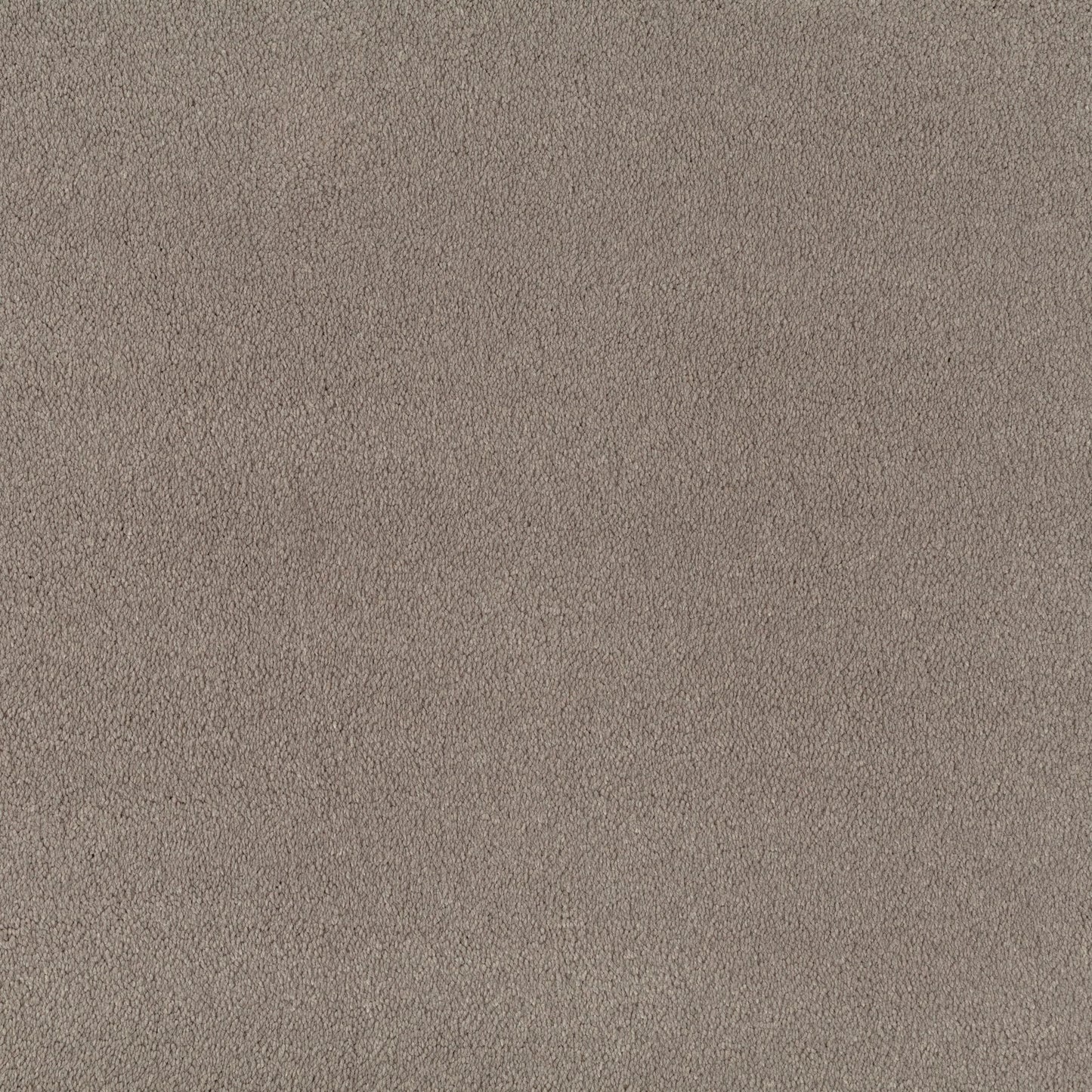 JAB Phantom Teppichboden - 3697/497 Grau