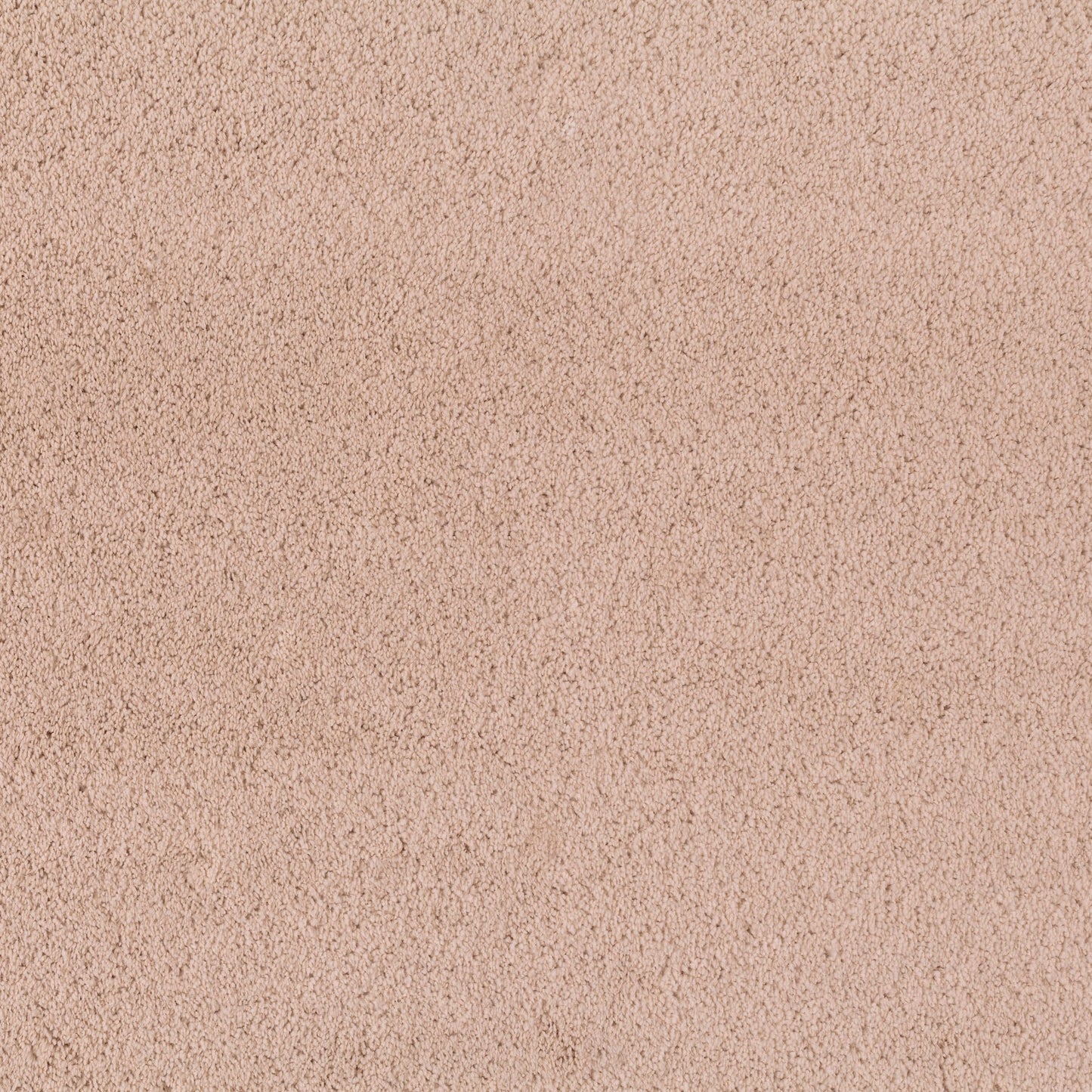 JAB Legend Teppichboden - 3699/162 Rosa