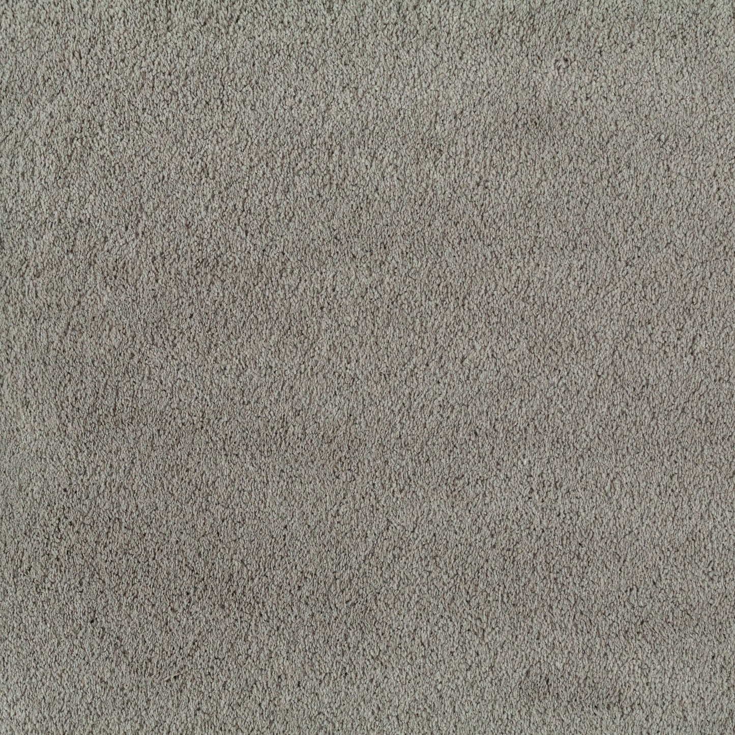 JAB Legend Teppichboden - 3699/493 Grau