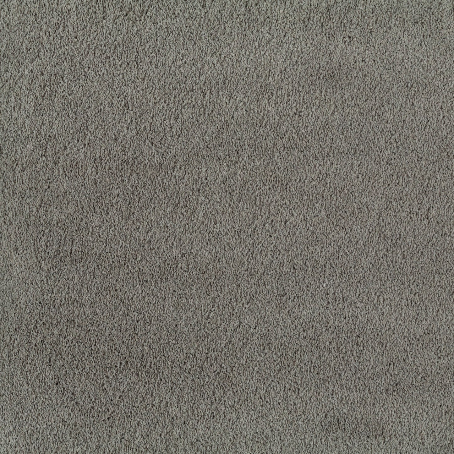 JAB Legend Teppichboden - 3699/691 Grau
