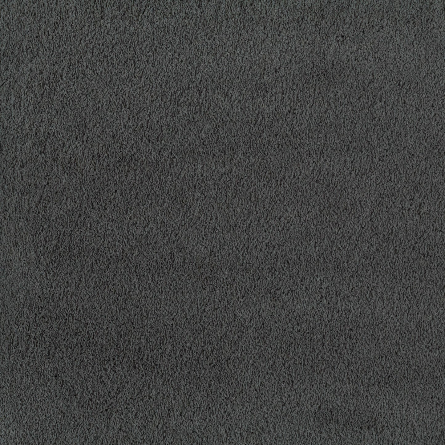 JAB Legend Teppichboden - 3699/893 Schwarz