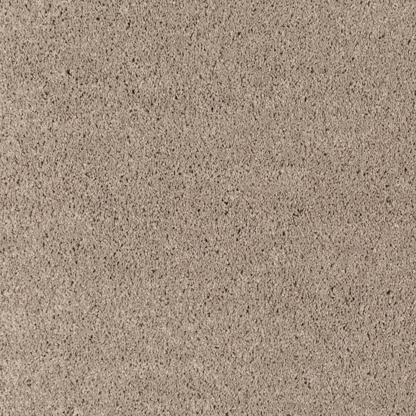 JAB Champ Teppichboden - 3703/272 Beige