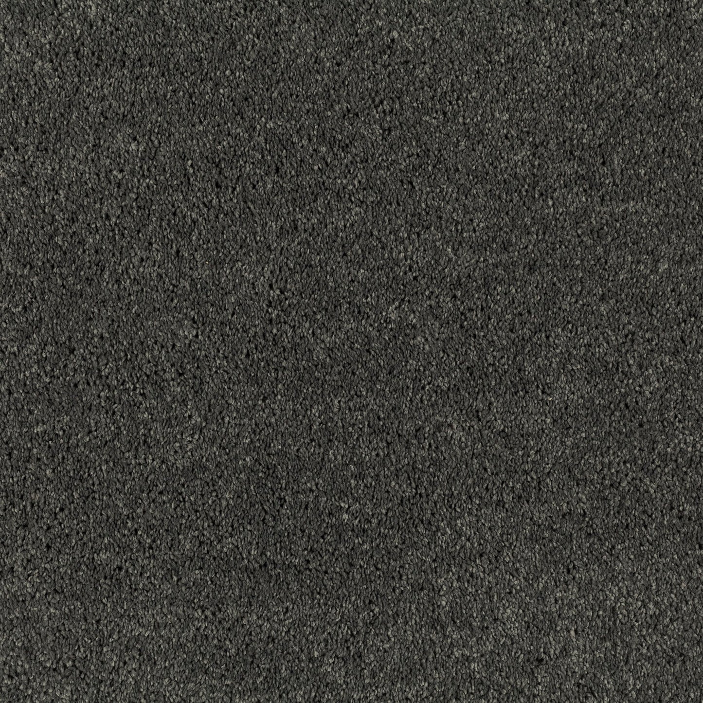 JAB Champ Teppichboden - 3703/899 Schwarz