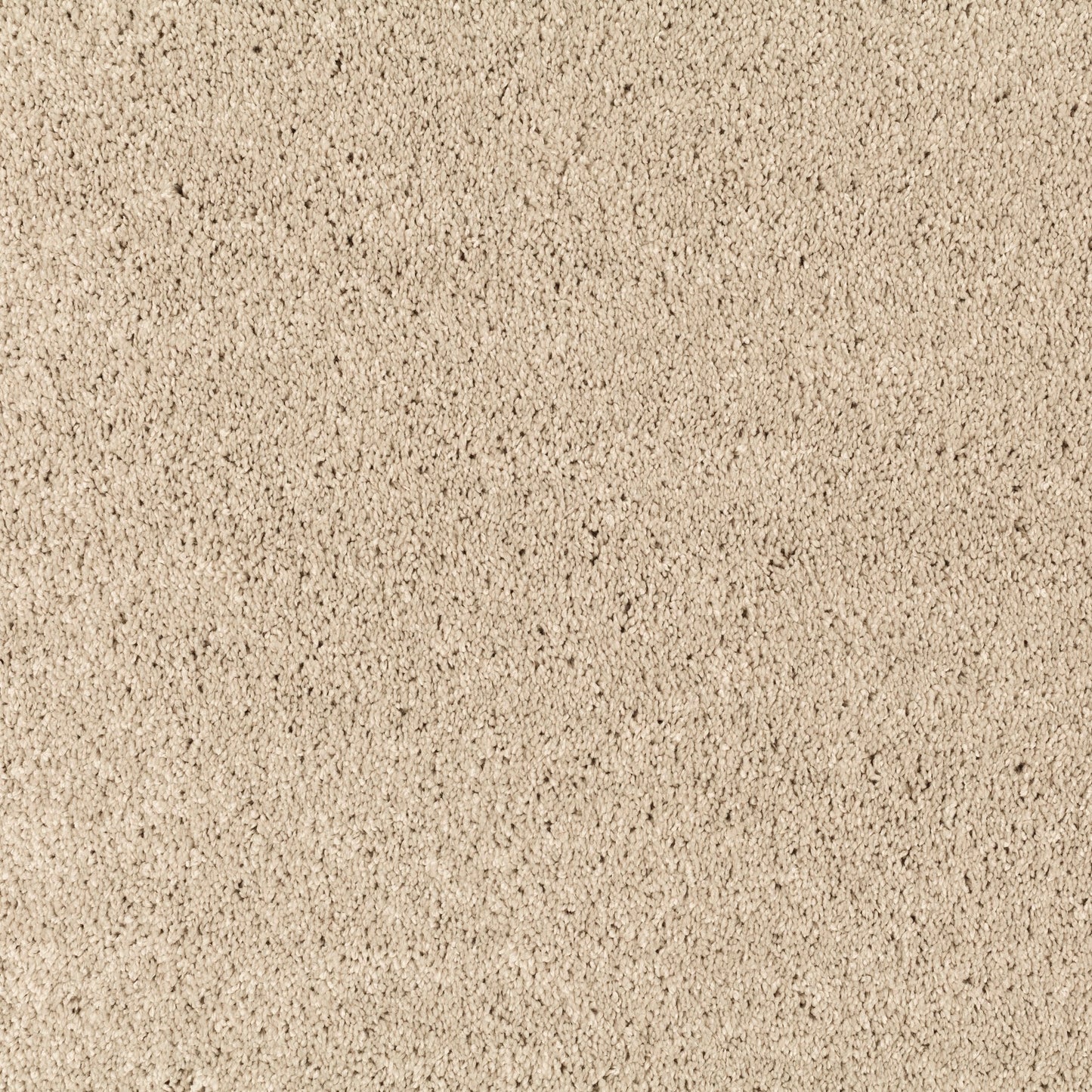 JAB Champ Teppichboden - 3703/074 Beige