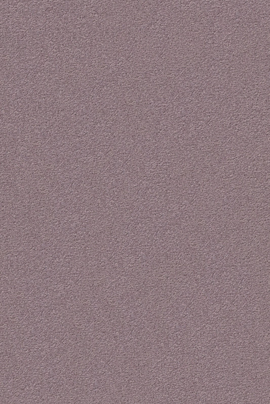 Vorwerk Passion "Conzano" Teppichboden - 3N61 Lila/Violett