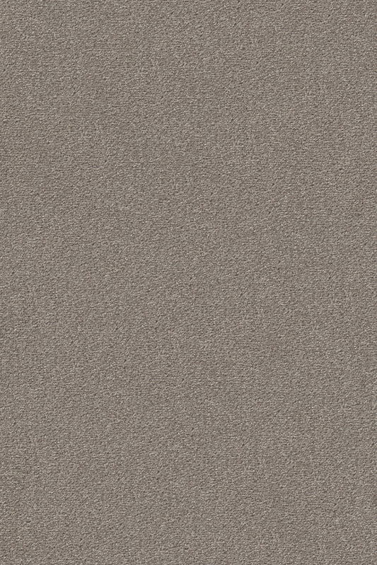 Vorwerk Passion "Conzano" Teppichboden - 5V31 Grau