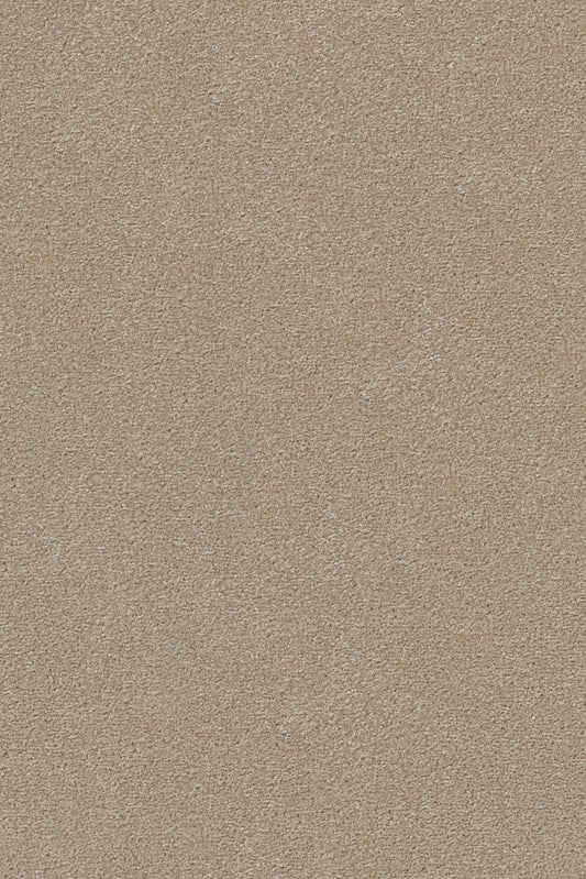 Vorwerk Passion "Conzano" Teppichboden - 8J01 Braun